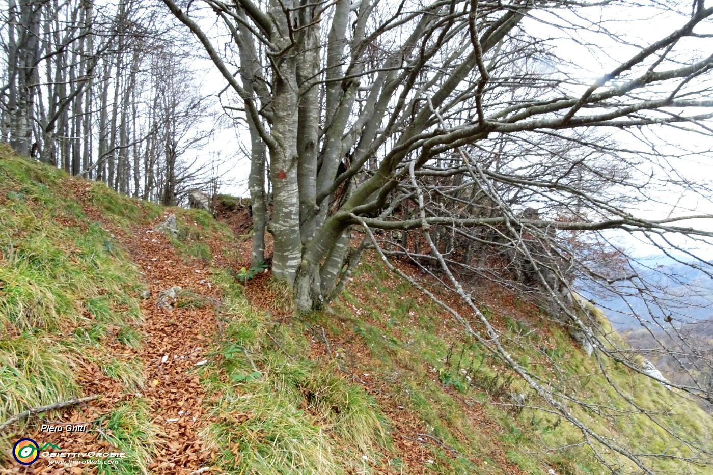 89 Dalla Sella del Sornadello (1530 m) percorro in ispezione un tratto verso il Pizzo Grande.JPG